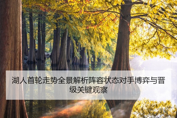 湖人首轮走势全景解析阵容状态对手博弈与晋级关键观察