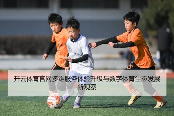 开云体育官网多维服务体验升级与数字体育生态发展新观察